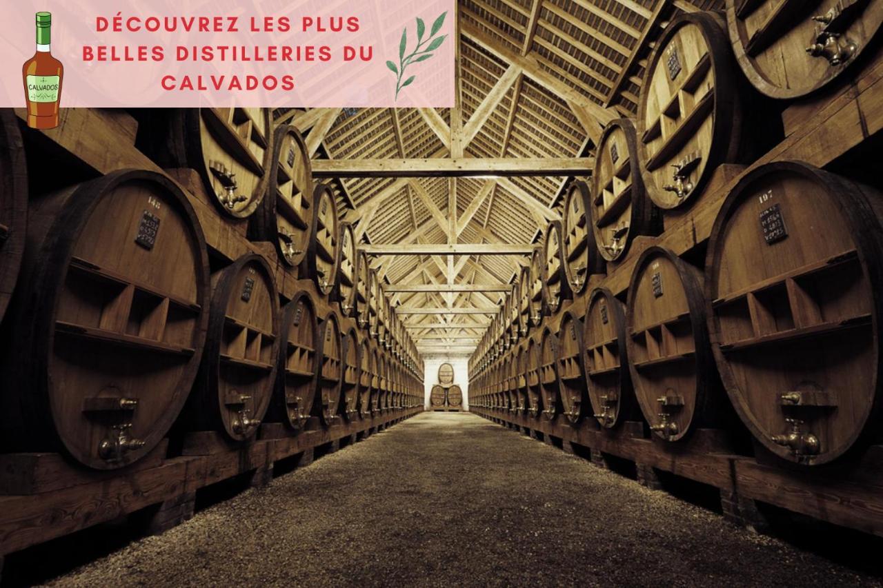 Suite Jungle - Jardin, Netflix Et Parking - Le Manoir Aux Pommes Orbec Exterior foto