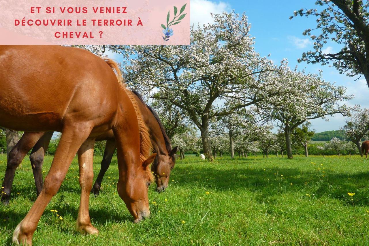 Suite Jungle - Jardin, Netflix Et Parking - Le Manoir Aux Pommes Orbec Exterior foto